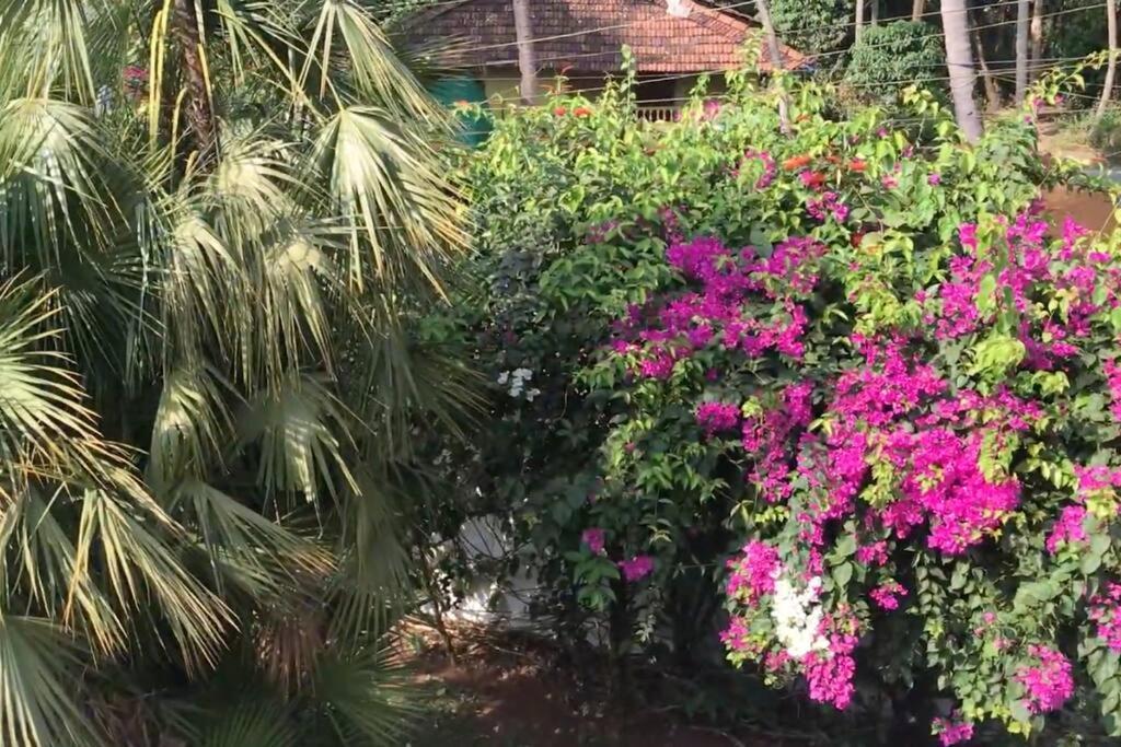 2Bhk Pool Facing Beachside Luxury Homestay In South Goa Betalbatim Exterior foto